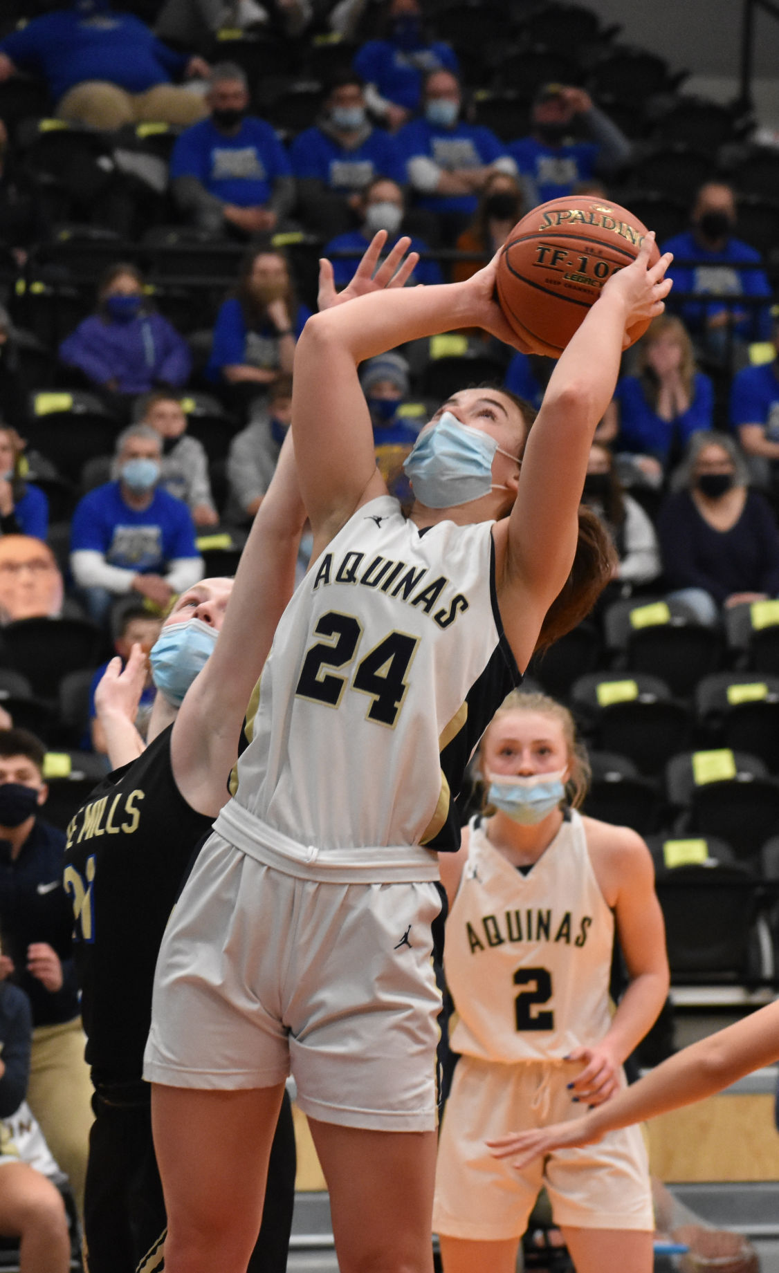 WIAA D3 championship 10